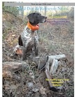 Bird Dog & Retriever News August September 2012 backissue