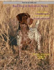 Dec Jan 2012 Bird Dog & Retriever News GSP cover