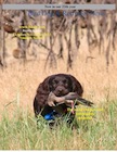 Oct Nov 2013 Boykin Bird Dog & Retriever News