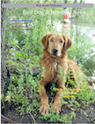 April May 2013 Bird Dog & Retriever News