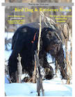 Aug Sept 2013 Bird Dog & Retriever News