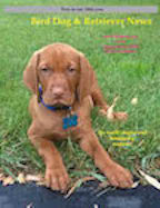 August September 2015 cover Bird Dog & Retriever News