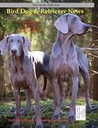 October November 2015 cover Bird Dog & Retriever News