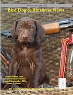 August September 2016 cover Bird Dog & Retriever News