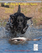 December January 2016  Cover Bird Dog & Retriever News