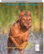 August September 2020 Bird Dog & Retriever News