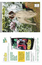 Page 1 Bird Dog & Retriever News