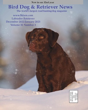 Cover December 2022 January 2023 Bird Dog & Retriever News magazine