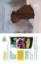 Page 1 Bird Dog & Retriever News