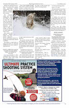 page 11 Bird Dog & Retriever News