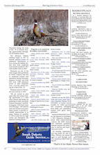 page 12 Bird Dog & Retriever News