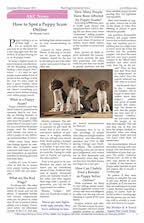 page 7 Bird Dog & Retriever News