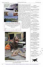 page 14 Bird Dog & Retriever News