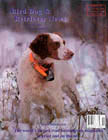Brittany spaniel