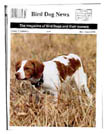Brittany Dog