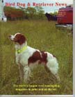 Brittany Spaniel