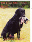Curly Coat Retriever