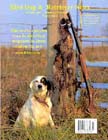 English Setter with ringneck pheasants