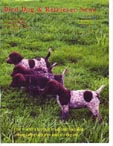 German Shorthair Pointer picture