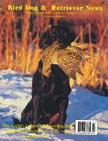 Black Labrador Retriever with a sharptail grouse