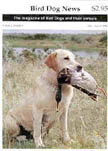 Yellow Labrador Retriever with a Mallard duck