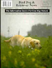 Pointing Labrador Retriever